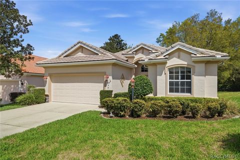 Homes For Sale - 635 W Doerr Path<br/> Hernando, FL 34442