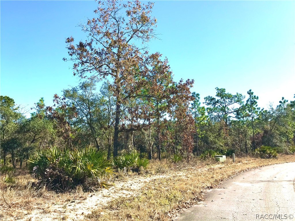 8 Smilax Court, Homosassa, Florida image 5
