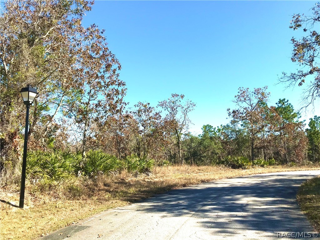 8 Smilax Court, Homosassa, Florida image 6