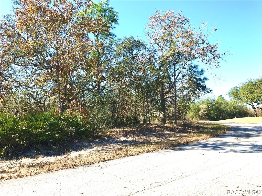 8 Smilax Court, Homosassa, Florida image 7