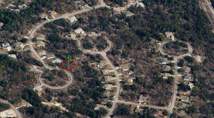 8 Smilax Court, Homosassa, Florida image 2