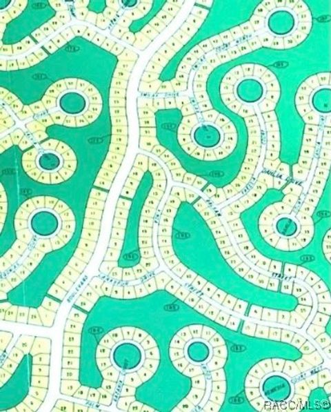 Vacant Land For Sale - 8 Smilax Court<br/> Homosassa, FL 34446