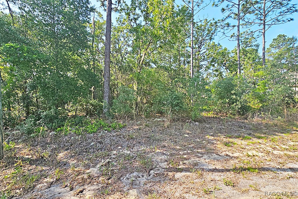3314 W Crandon Drive, Citrus Springs, New York image 3