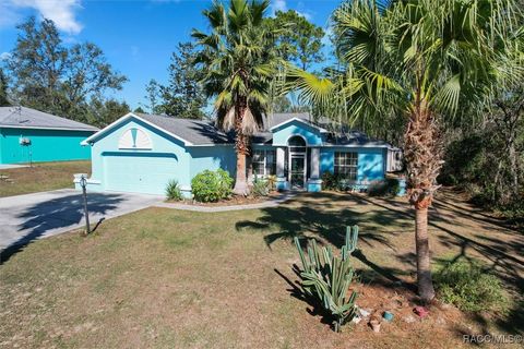 A home in Citrus Springs