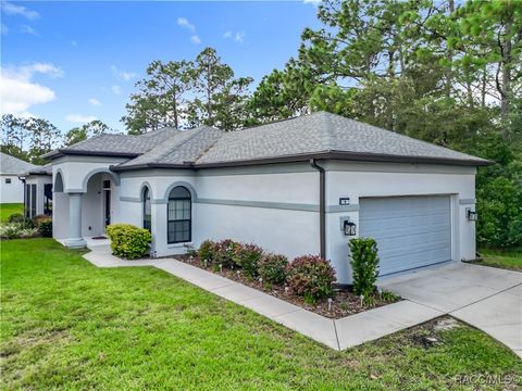 8 Deer Court 15 Homosassa FL 34446