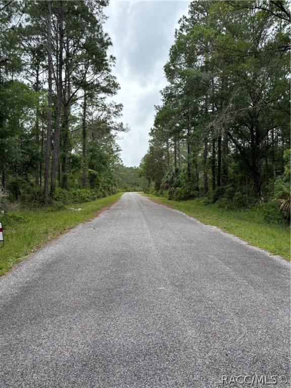 11276 W. Cockscomb Drive, Crystal River, Florida image 3