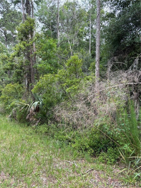 11276 W. Cockscomb Drive, Crystal River, Florida image 4