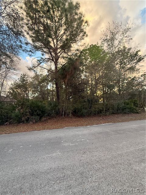 8 Mangrove Court N Homosassa FL 34446