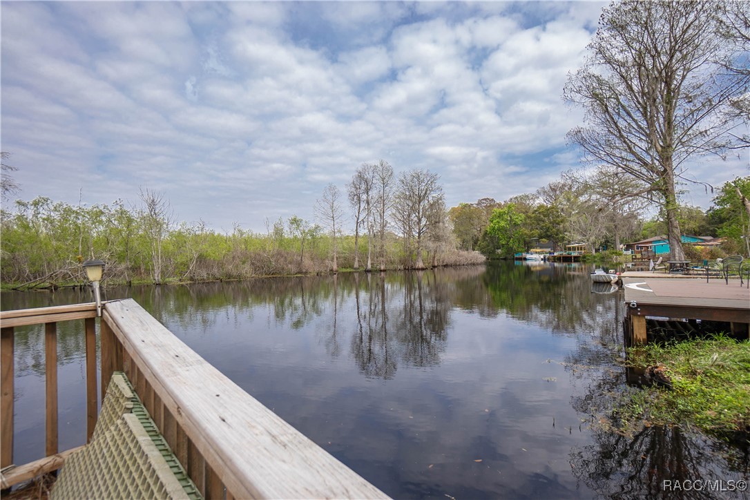 5463 S Withlapopka Drive, Floral City, Florida image 46