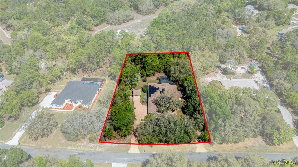 2261 W Begonia Drive, Beverly Hills, Florida image 2