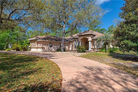 2261 W Begonia Drive Beverly Hills FL 34465