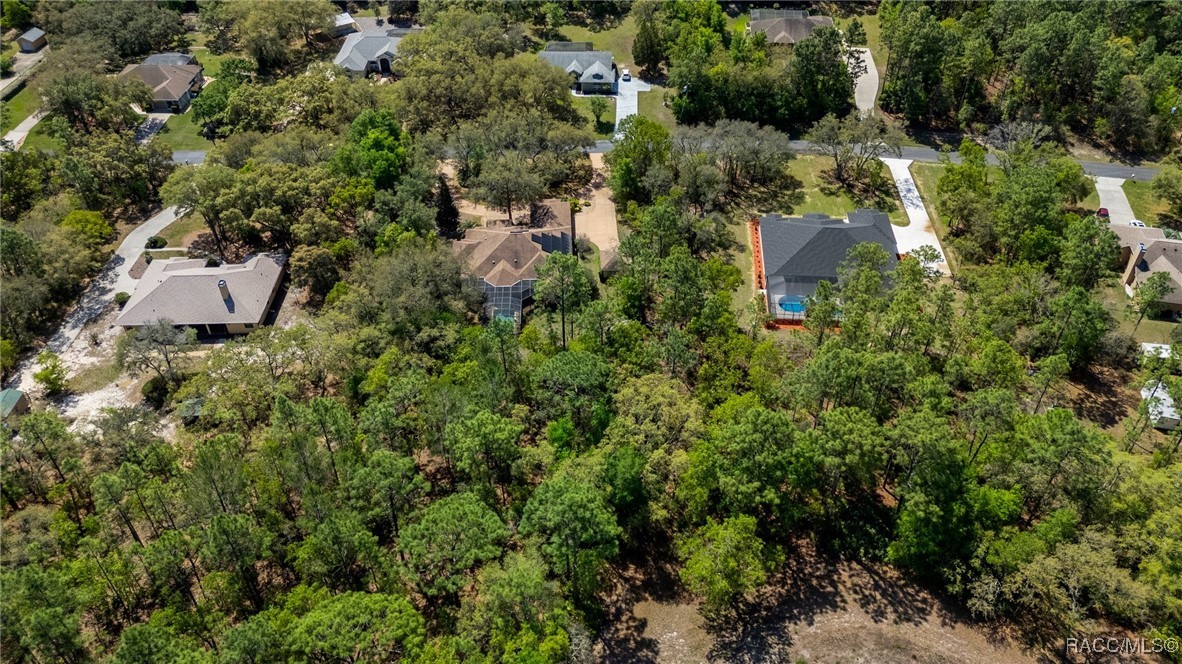 2261 W Begonia Drive, Beverly Hills, Florida image 5