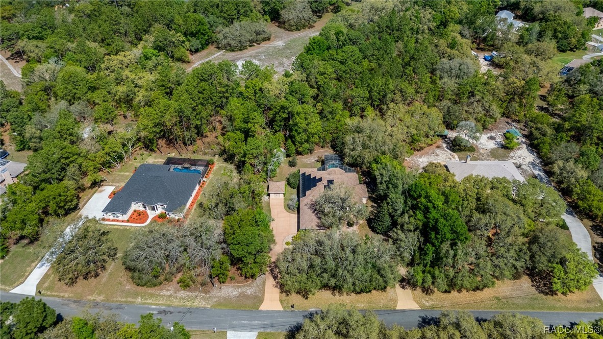 2261 W Begonia Drive, Beverly Hills, Florida image 3