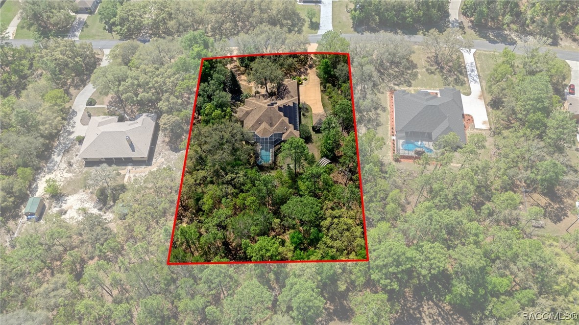 2261 W Begonia Drive, Beverly Hills, Florida image 6