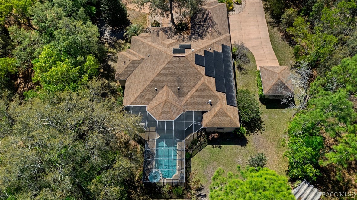 2261 W Begonia Drive, Beverly Hills, Florida image 8
