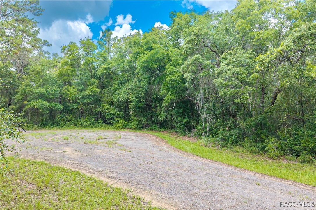 Photo 1 of 22 — 9870 N Sky Point, Dunnellon, FL 34434