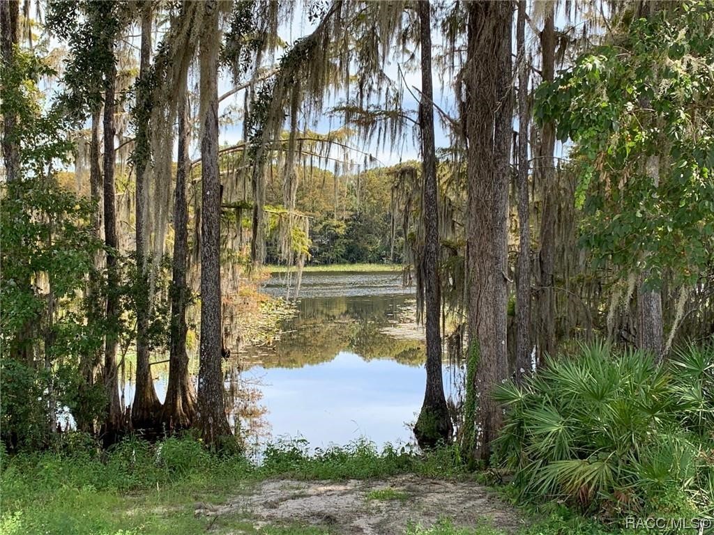 1248 Heron Point Drive, Inverness, Florida image 4