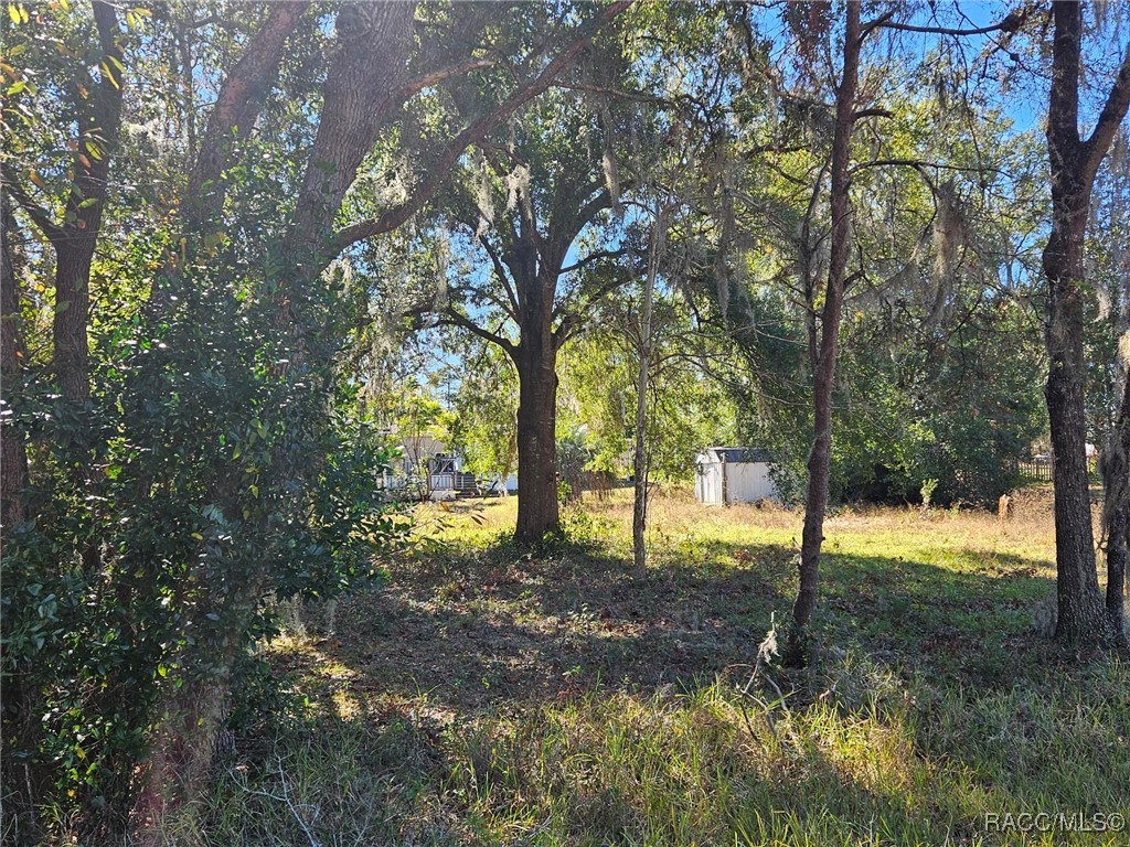 2672 E Earth Street, Inverness, Florida image 4