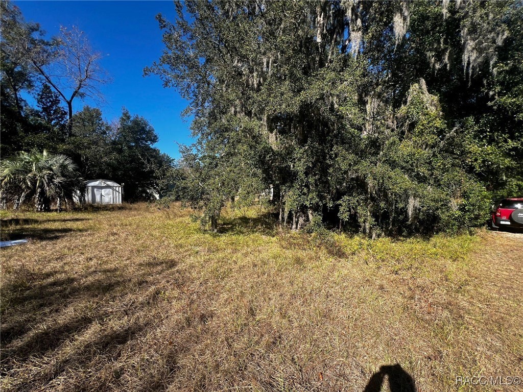 2672 E Earth Street, Inverness, Florida image 3