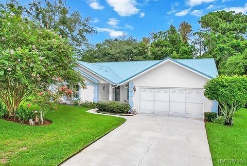 Homes For Sale - 25 Redbay Court<br/> Homosassa, FL 34446