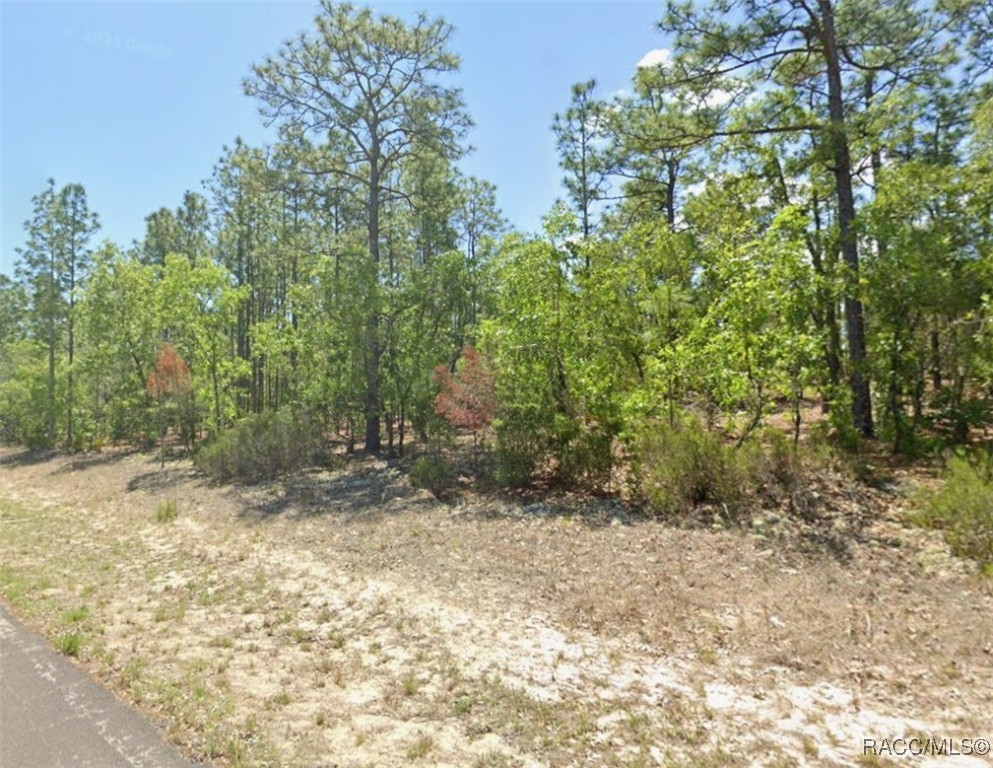 4169 N Hatchet Circle