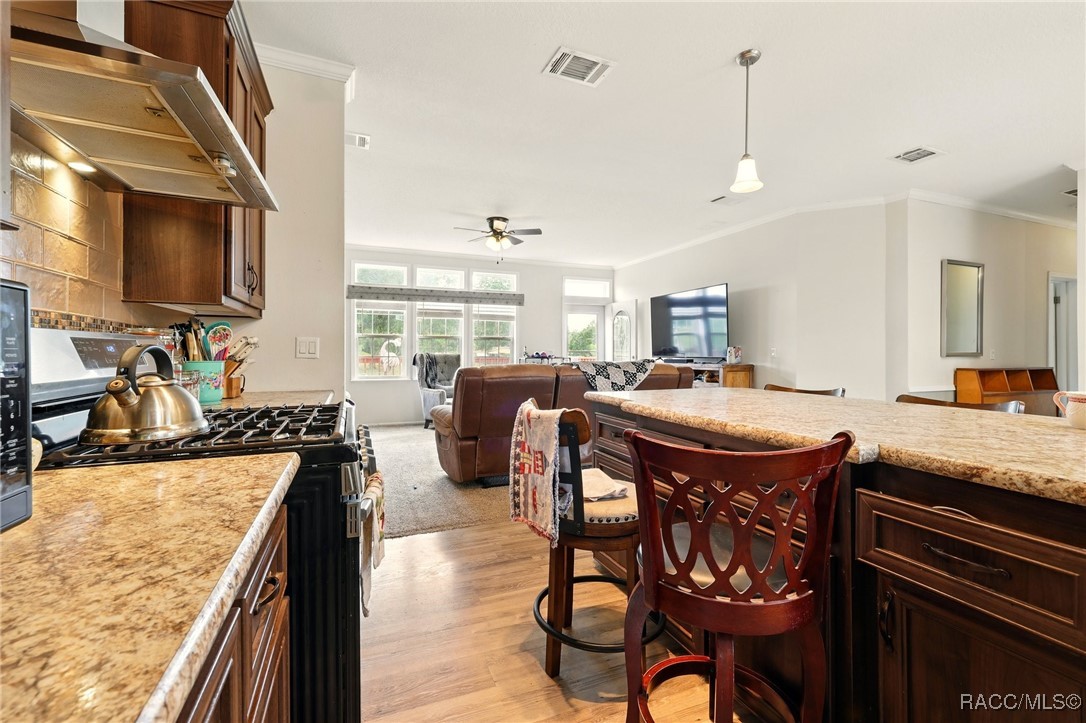 10330 S Appaloosa Avenue, Floral City, New York image 10