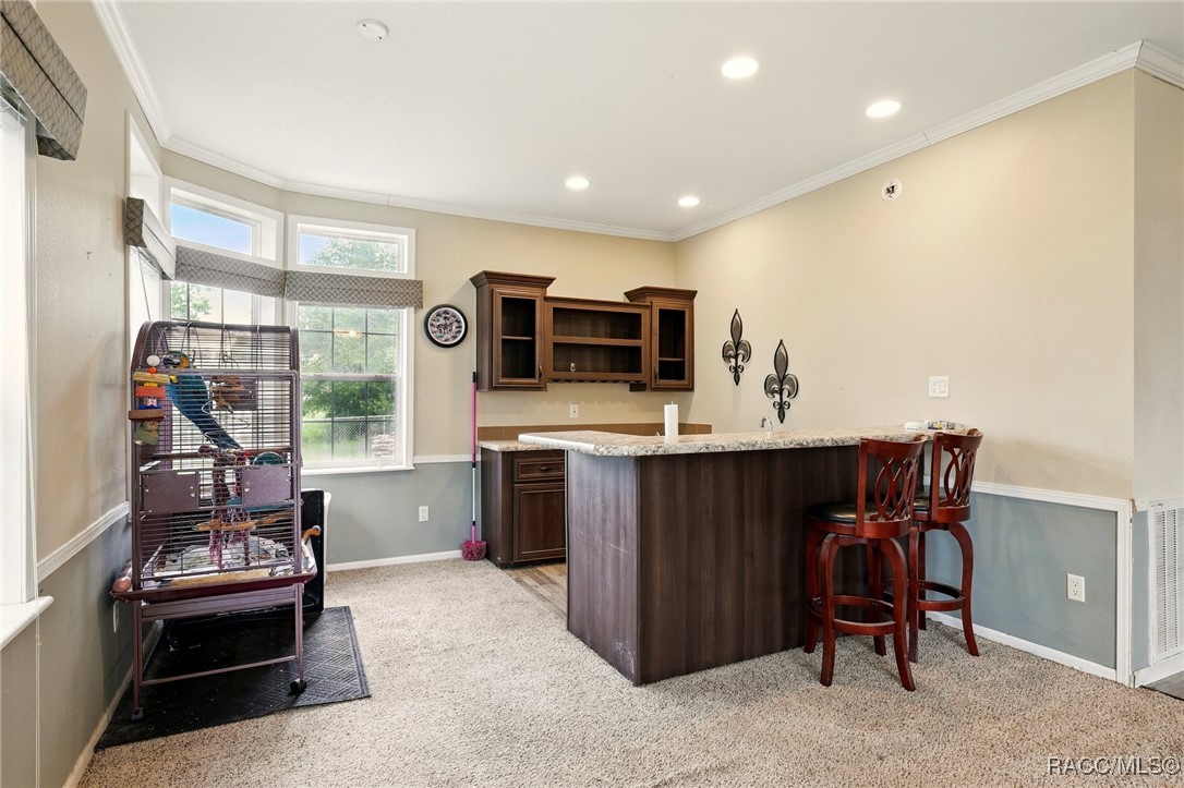 10330 S Appaloosa Avenue, Floral City, New York image 14