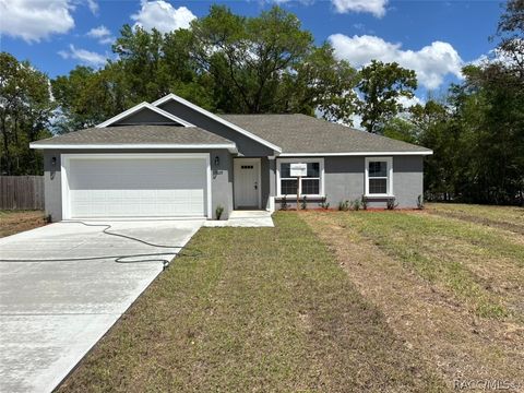 Homes For Sale - 11029 N Tigerwood Terrace<br/> Dunnellon, FL 34434