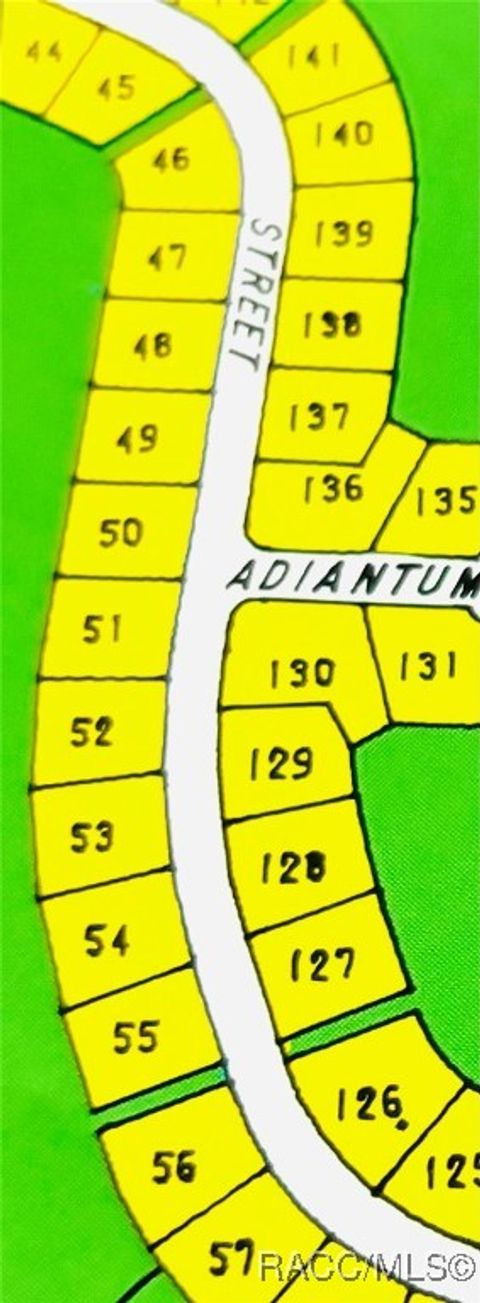 Vacant Land For Sale - 67 Grass Street<br/> Homosassa, FL 34446