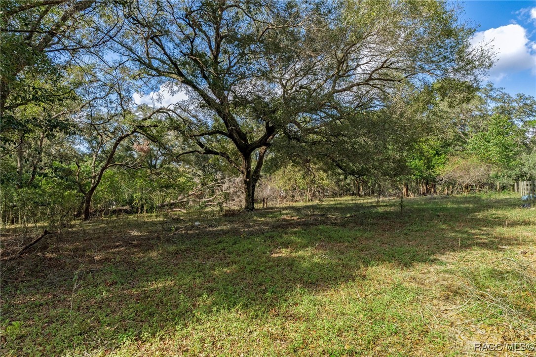 8151 E Bayberry Lane, Floral City, Florida image 4