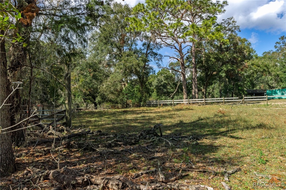 8151 E Bayberry Lane, Floral City, Florida image 3