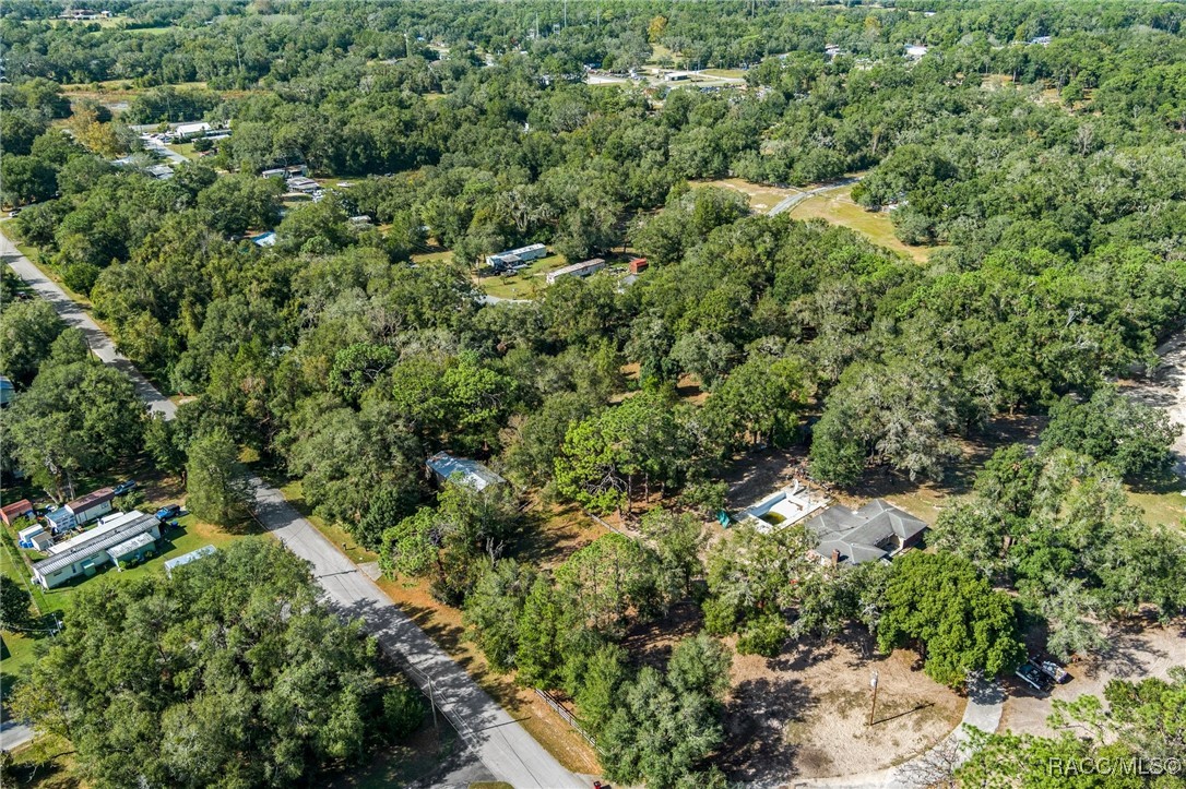 8151 E Bayberry Lane, Floral City, Florida image 9