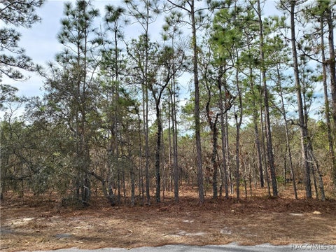 Vacant Land For Sale - 39 Whitewood Street<br/> Homosassa, FL 34446