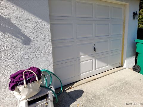 A home in Hernando