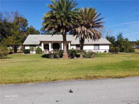 A home in Hernando