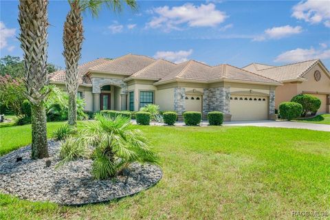 1011 N Hunt Club Drive Hernando FL 34442