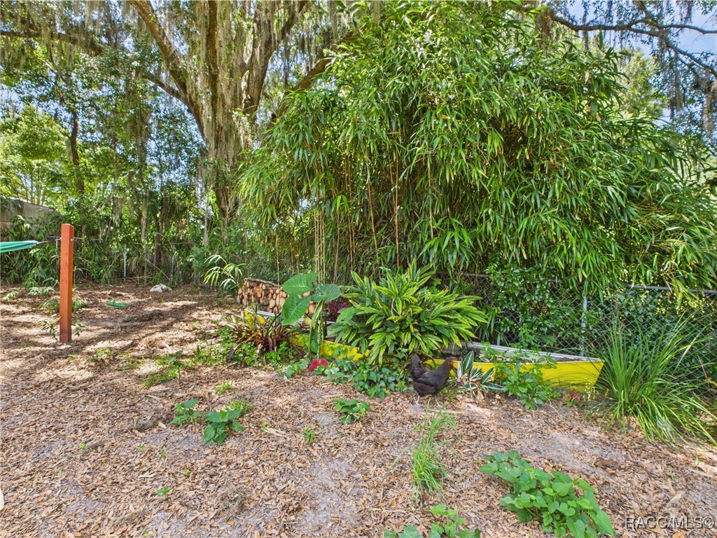 896 N Hollywood Circle, Crystal River, Florida image 32