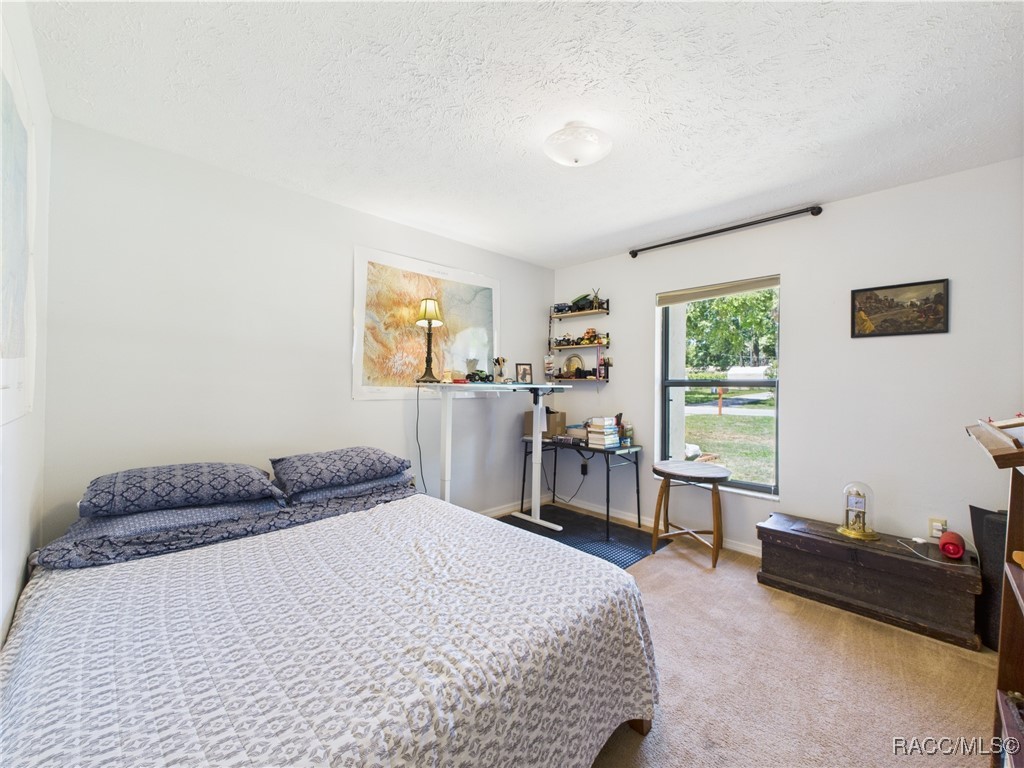 896 N Hollywood Circle, Crystal River, Florida image 19