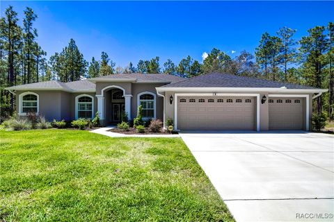 10 Milbark Court Homosassa FL 34446