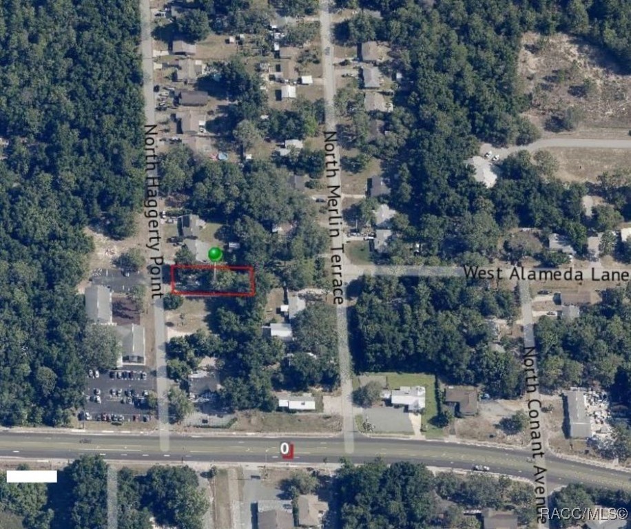 1195 N Haggerty Point, Crystal River, Florida image 1