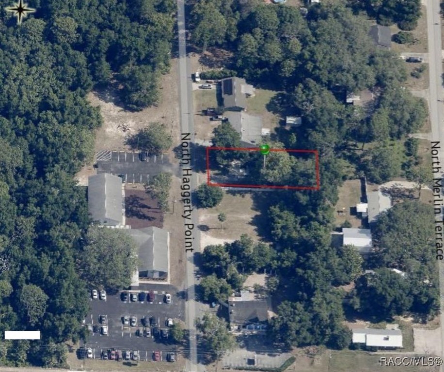 1195 N Haggerty Point, Crystal River, Florida image 2