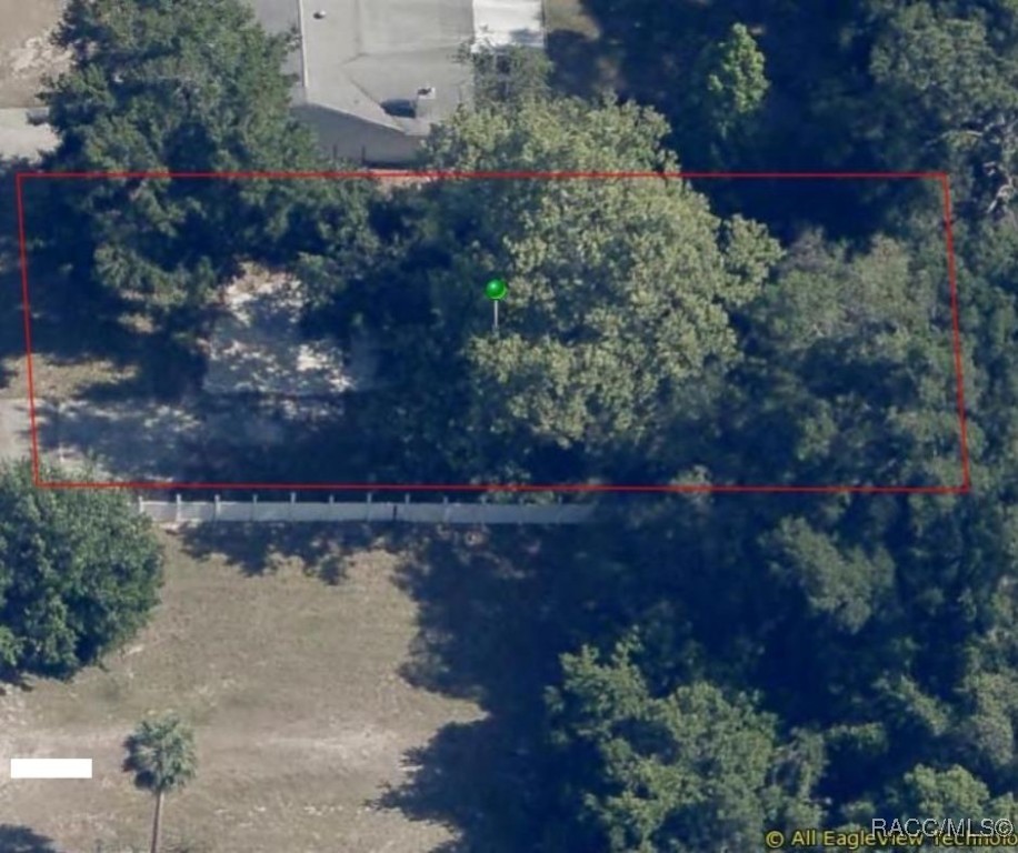 1195 N Haggerty Point, Crystal River, Florida image 3