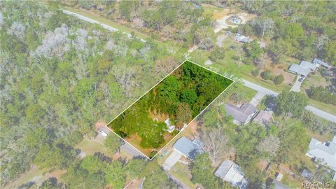Mobile Home For Sale - 8470 W Bradshaw & 8479 W Doe Lane Blvd<br/> Homosassa, FL 34448