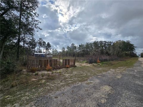 Vacant Land For Sale - TBD SE 128 Avenue<br/> Dunnellon, FL 34431
