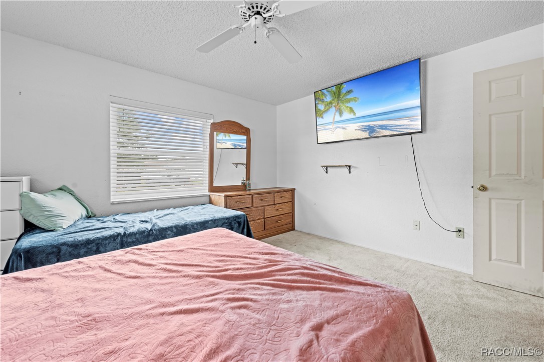 9069 Gaynor Street, Spring Hill, Florida image 5