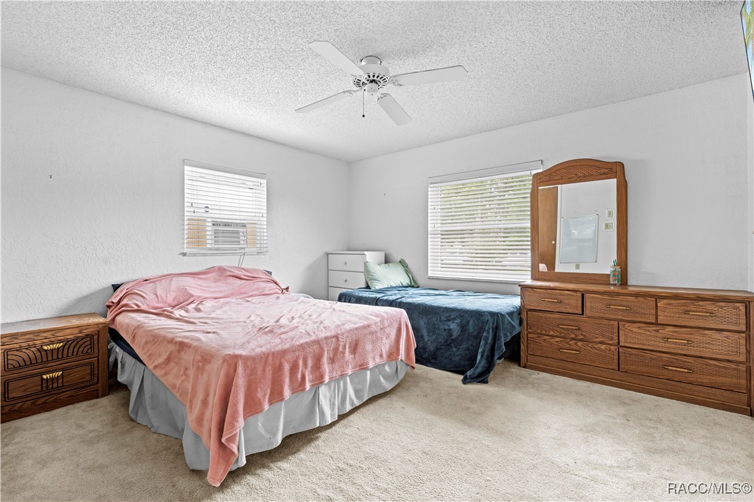 9069 Gaynor Street, Spring Hill, Florida image 3