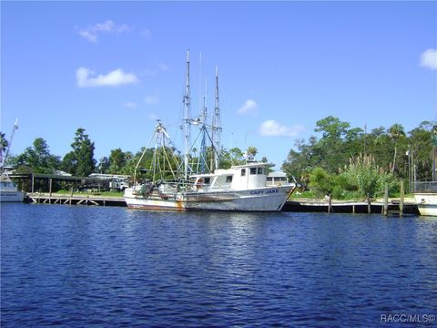 A home in Hernando