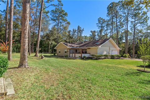 A home in Hernando