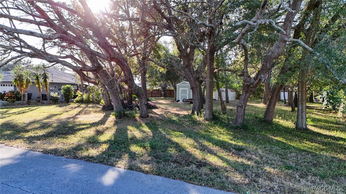 489 Leafy Way Avenue, Spring Hill, Florida image 40