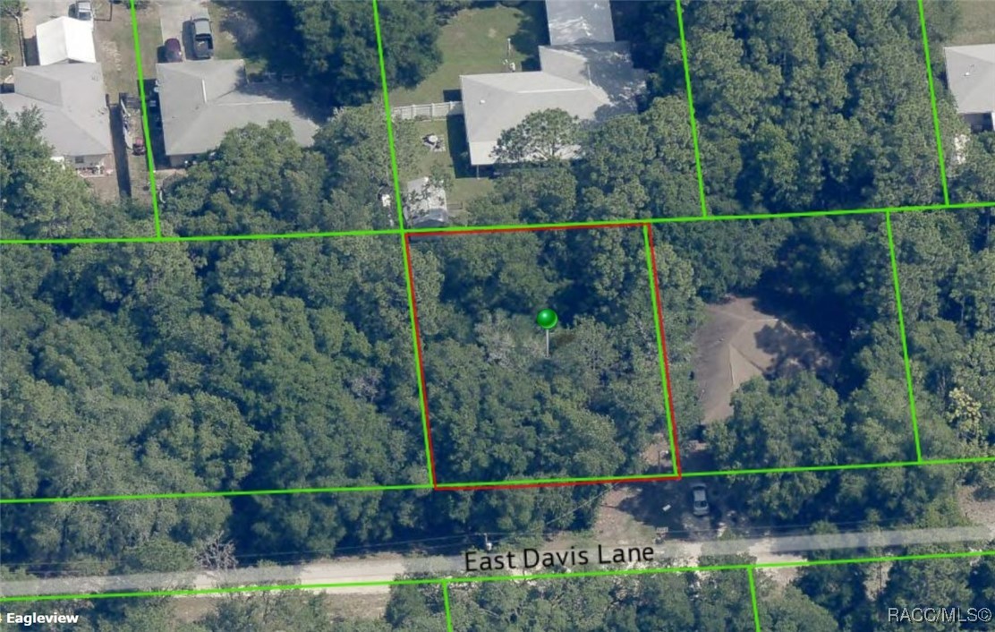 3157 E Davis Lane, Inverness, Florida image 1